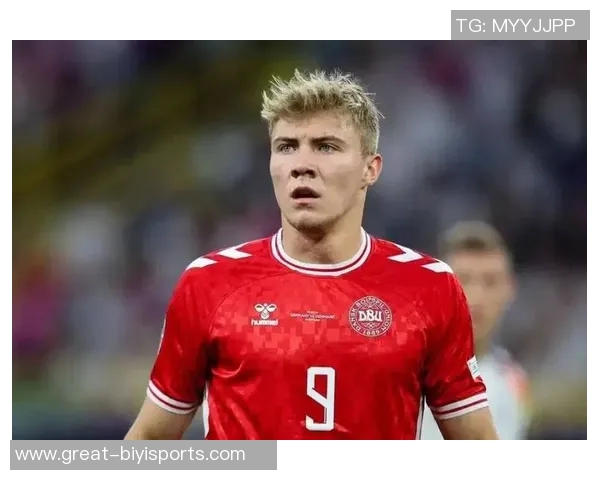 霍伊伦的传奇人生与成就探索：从平凡到卓越的奋斗历程